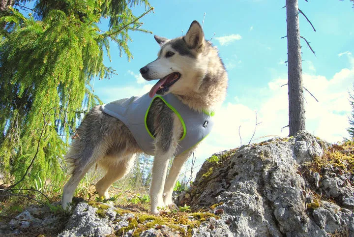 Adjustable Dog Cooling Vest, Neon Yellow, Size L